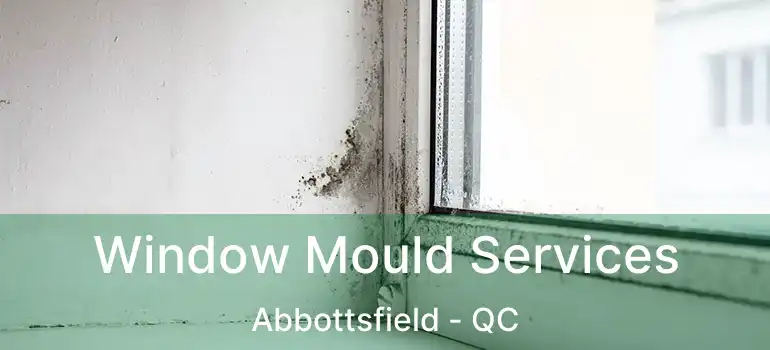  Window Mould Services Abbottsfield - QC