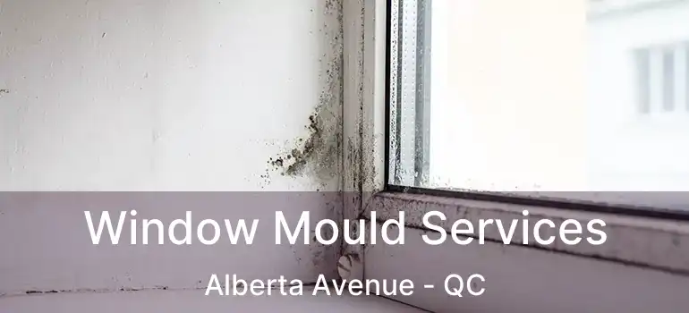  Window Mould Services Alberta Avenue - QC