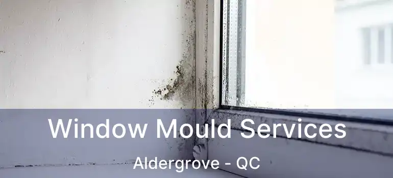  Window Mould Services Aldergrove - QC