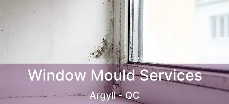  Window Mould Services Argyll - QC