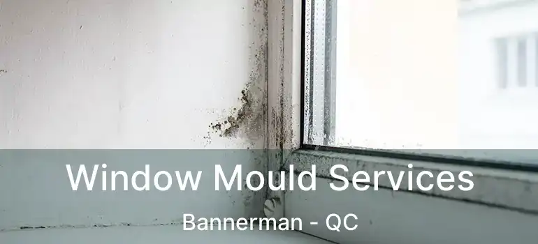  Window Mould Services Bannerman - QC