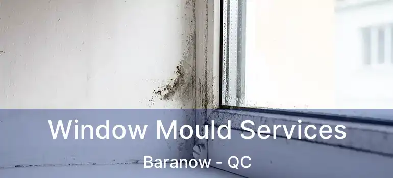  Window Mould Services Baranow - QC