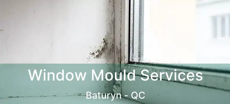  Window Mould Services Baturyn - QC