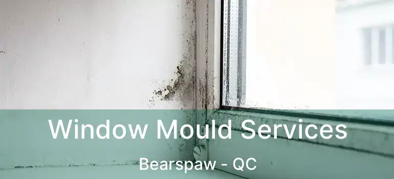  Window Mould Services Bearspaw - QC