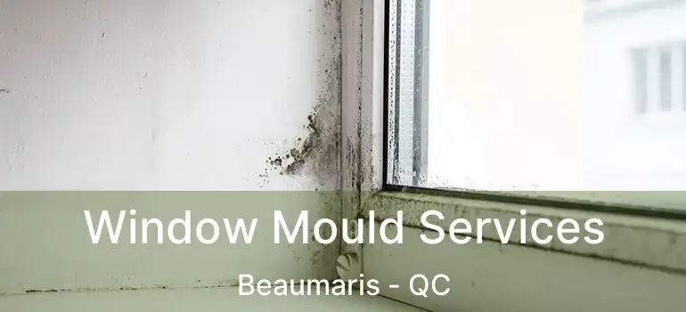  Window Mould Services Beaumaris - QC