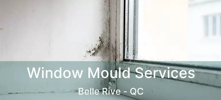  Window Mould Services Belle Rive - QC