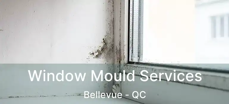  Window Mould Services Bellevue - QC