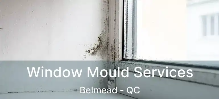  Window Mould Services Belmead - QC