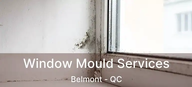  Window Mould Services Belmont - QC