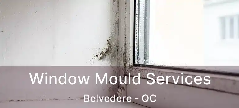  Window Mould Services Belvedere - QC