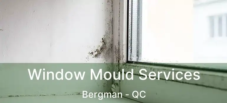  Window Mould Services Bergman - QC
