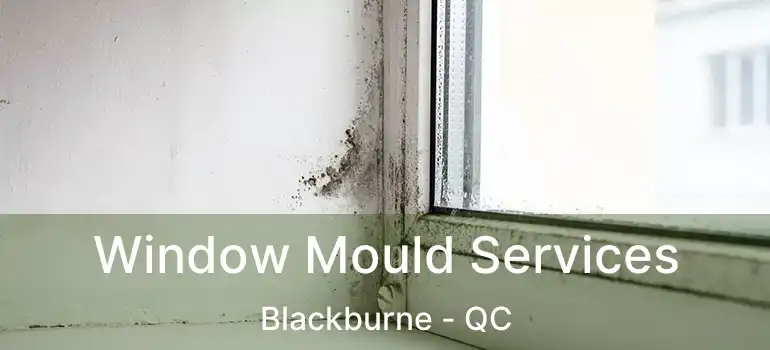  Window Mould Services Blackburne - QC
