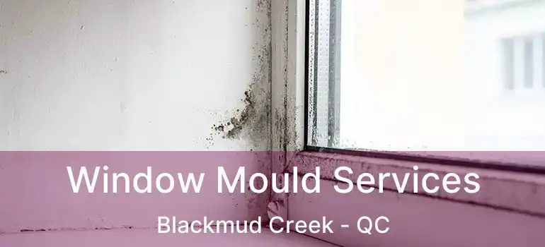  Window Mould Services Blackmud Creek - QC