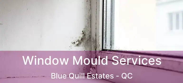  Window Mould Services Blue Quill Estates - QC
