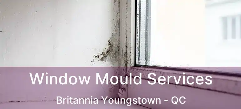  Window Mould Services Britannia Youngstown - QC