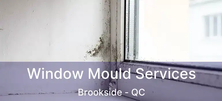  Window Mould Services Brookside - QC
