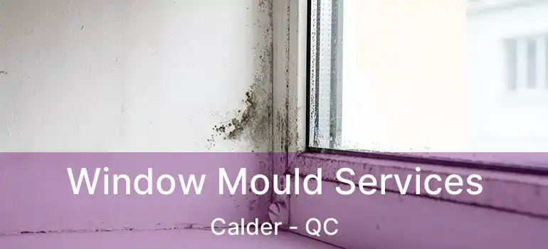  Window Mould Services Calder - QC