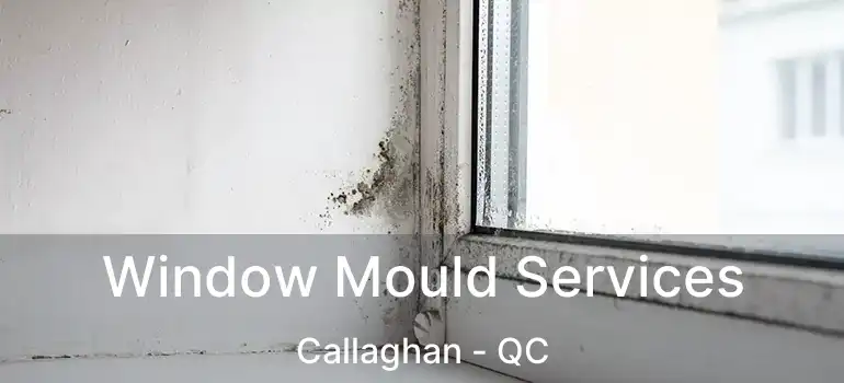  Window Mould Services Callaghan - QC