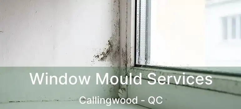  Window Mould Services Callingwood - QC