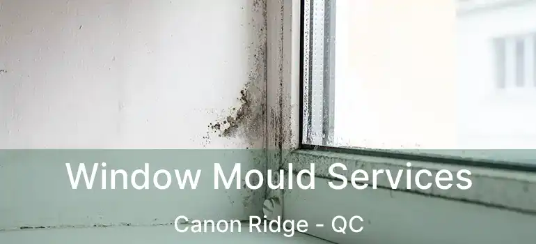  Window Mould Services Canon Ridge - QC