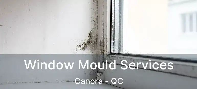 Window Mould Services Canora - QC