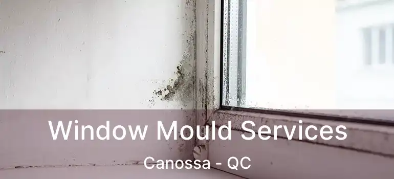  Window Mould Services Canossa - QC