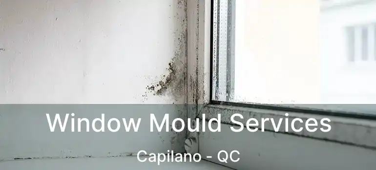 Window Mould Services Capilano - QC