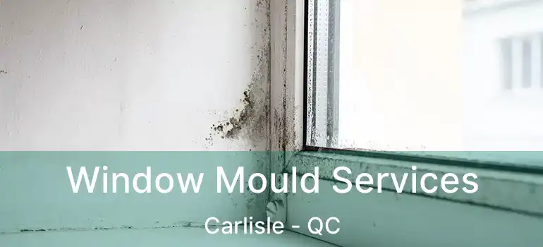  Window Mould Services Carlisle - QC