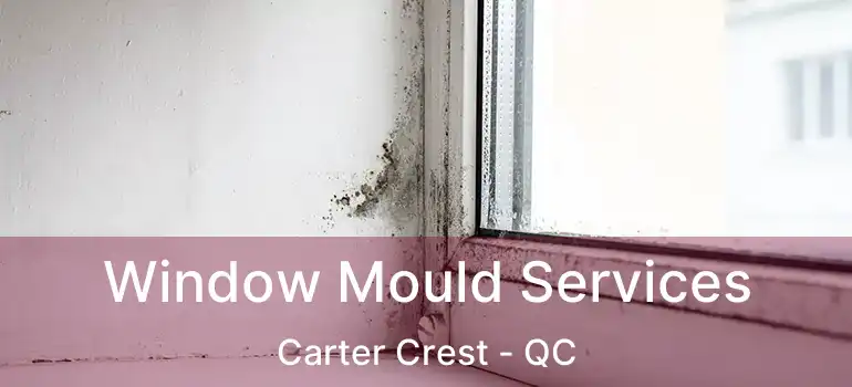  Window Mould Services Carter Crest - QC