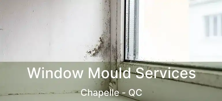  Window Mould Services Chapelle - QC