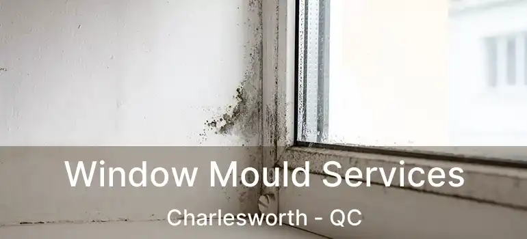  Window Mould Services Charlesworth - QC