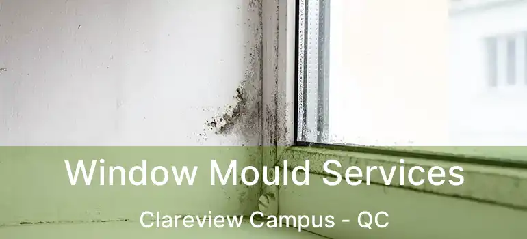  Window Mould Services Clareview Campus - QC