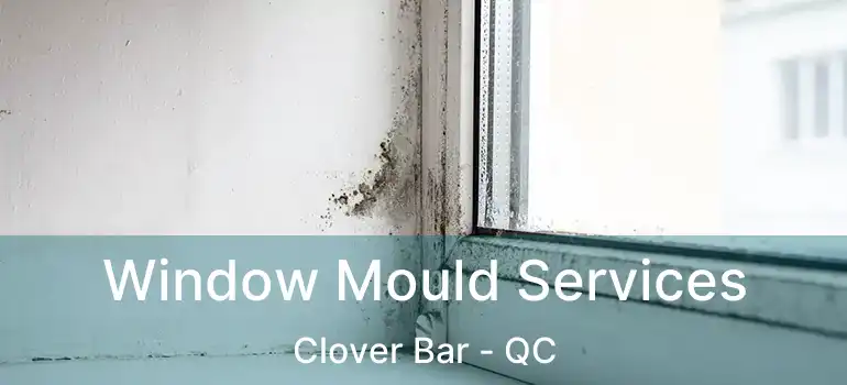  Window Mould Services Clover Bar - QC