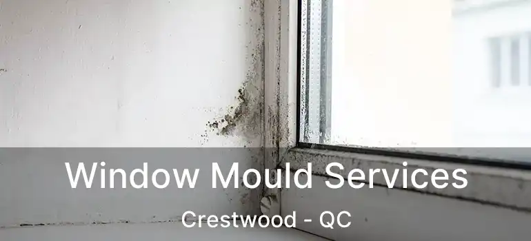  Window Mould Services Crestwood - QC