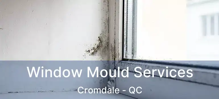  Window Mould Services Cromdale - QC