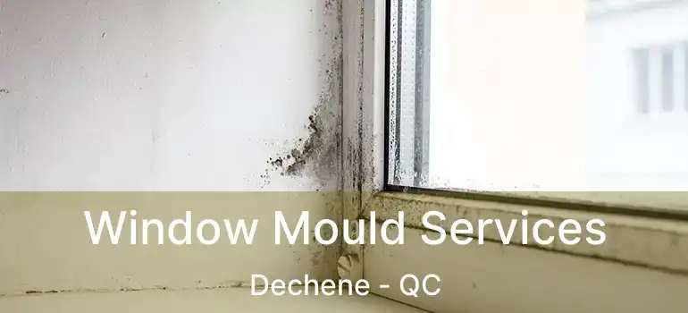  Window Mould Services Dechene - QC