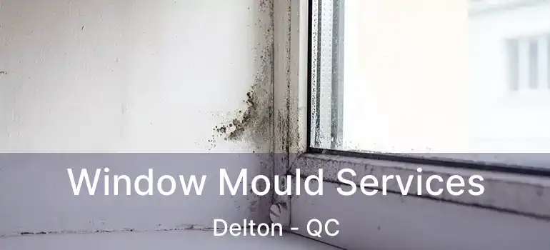  Window Mould Services Delton - QC