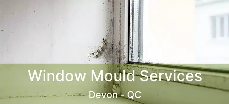  Window Mould Services Devon - QC