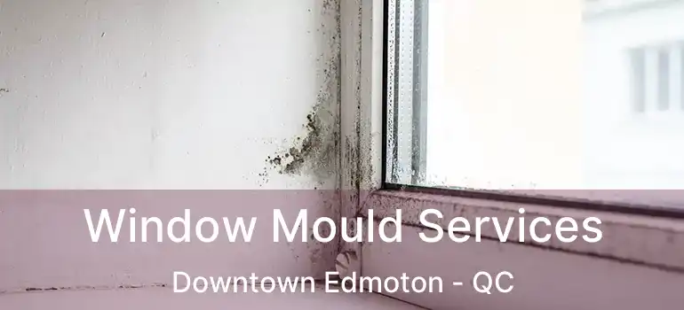  Window Mould Services Downtown Edmoton - QC