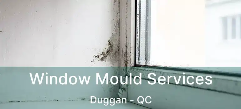  Window Mould Services Duggan - QC