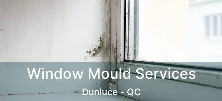  Window Mould Services Dunluce - QC