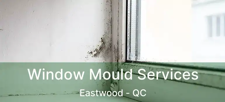 Window Mould Services Eastwood - QC