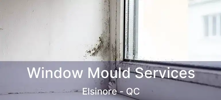  Window Mould Services Elsinore - QC