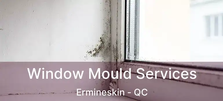  Window Mould Services Ermineskin - QC
