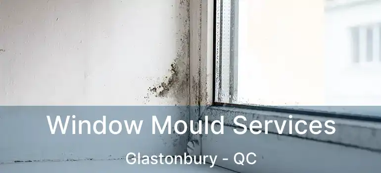  Window Mould Services Glastonbury - QC