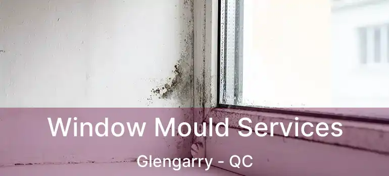  Window Mould Services Glengarry - QC
