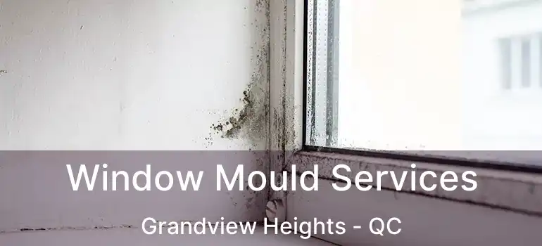  Window Mould Services Grandview Heights - QC