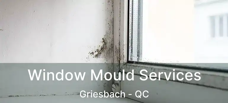  Window Mould Services Griesbach - QC