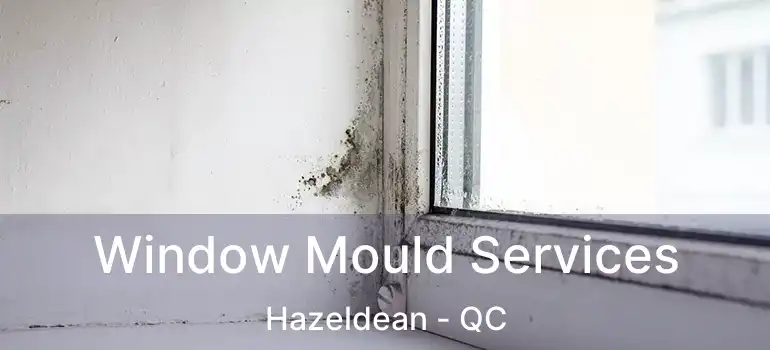  Window Mould Services Hazeldean - QC