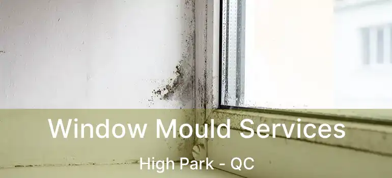  Window Mould Services High Park - QC